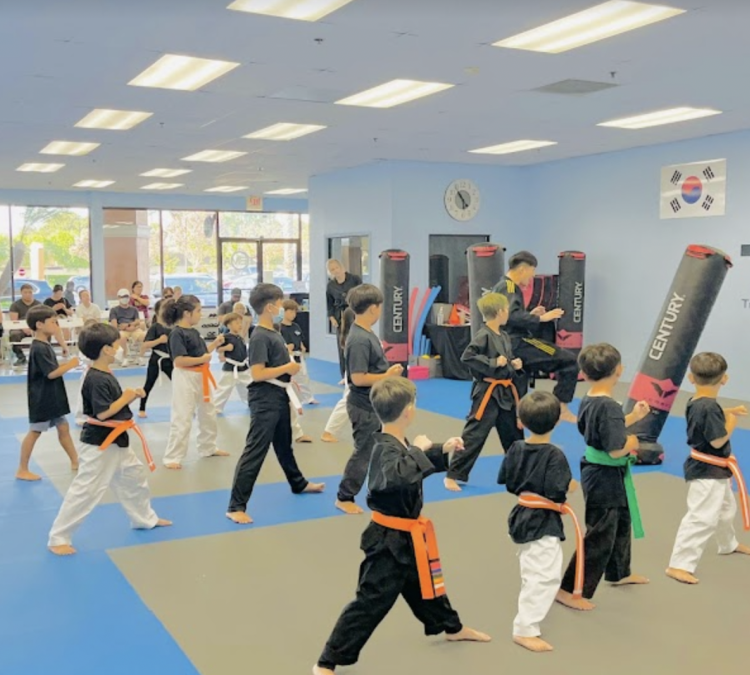 TEMA - True Education of Martial Arts (Fullerton,&nbspCA)